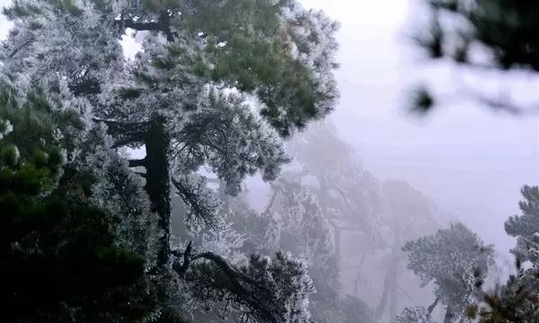 化妆师变身红楼梦角色,短时间内惊艳重现!
