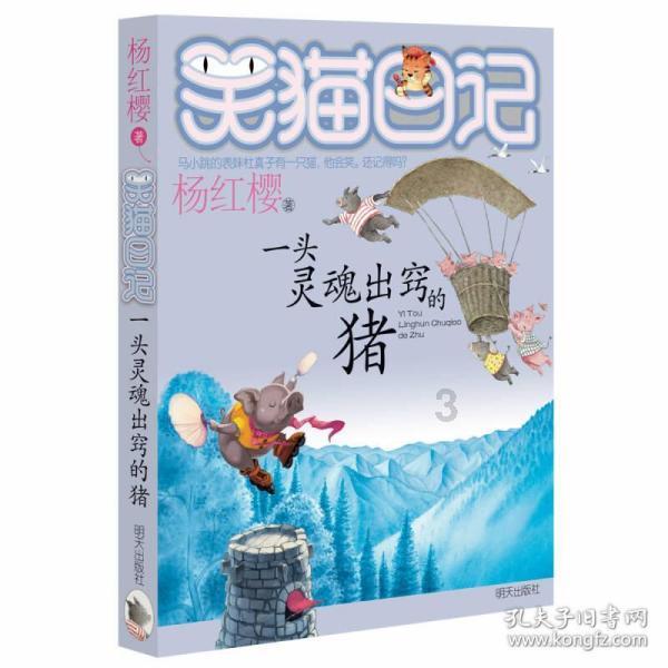 运河观察|运河岸边渔灯点点 枣庄城里古韵绵绵