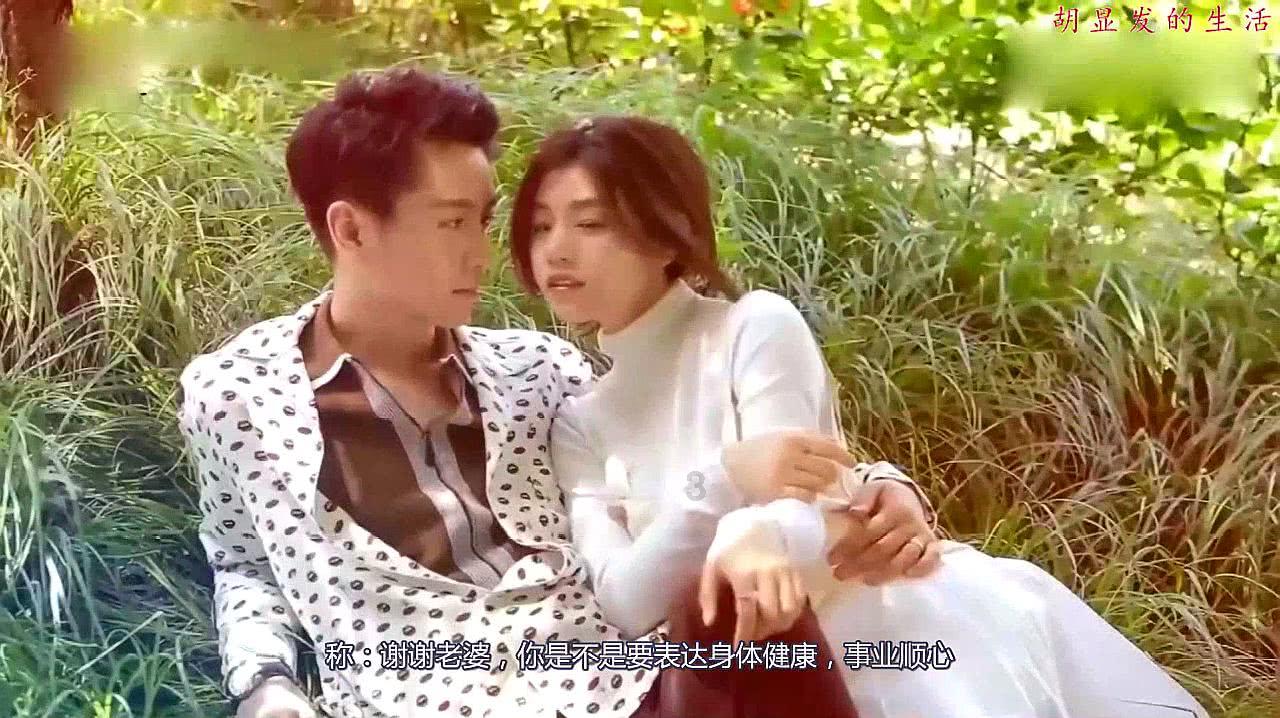 一张图让你戒猫356