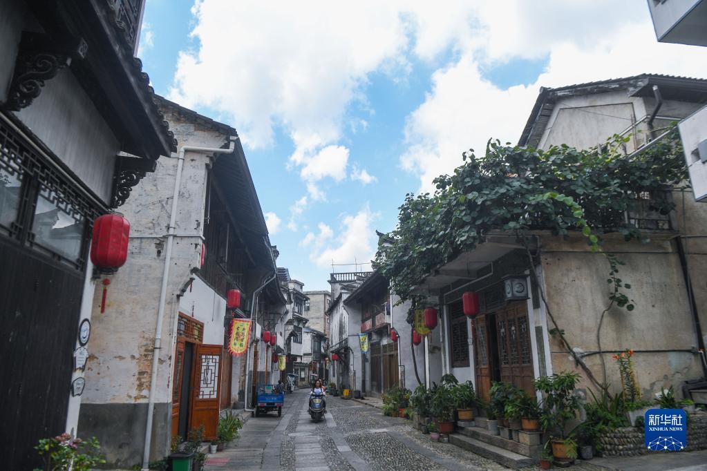 加速A0级市场油转电,比亚迪海豚蝉联A0级年销冠军